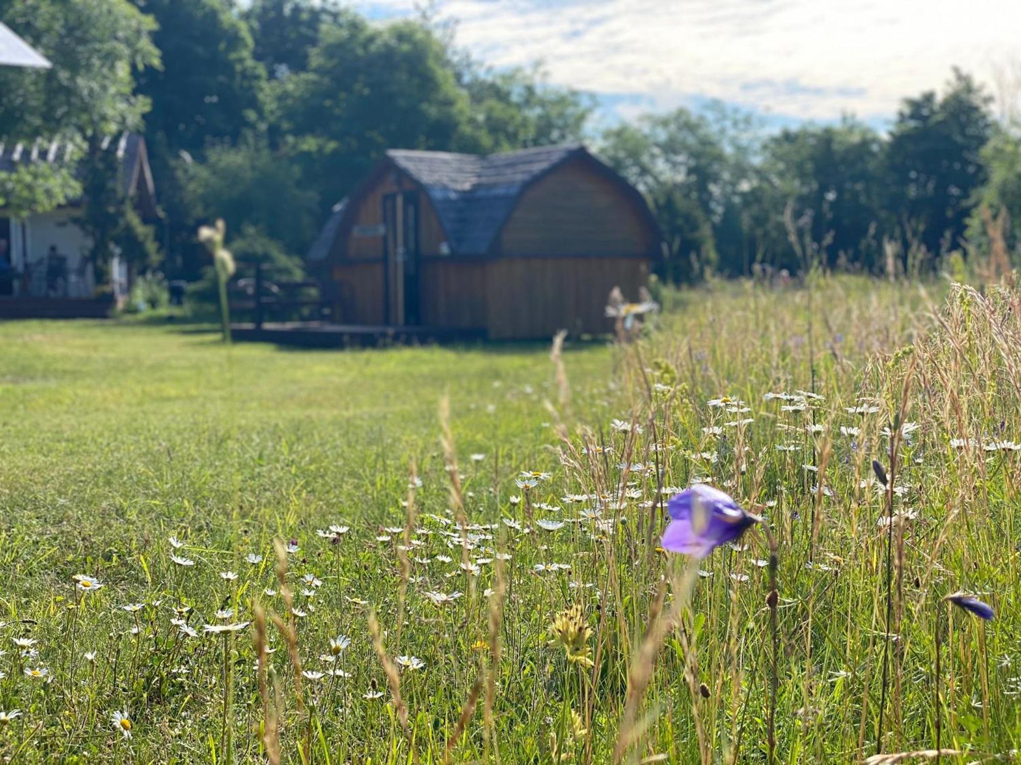 Kaespri Farmstay Koguva Dış mekan fotoğraf