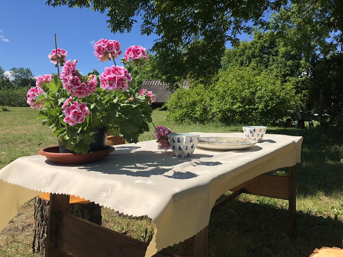 Kaespri Farmstay Koguva Dış mekan fotoğraf